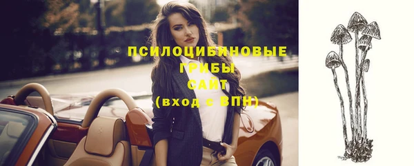 СК Балахна
