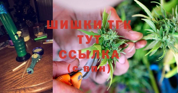 Альфа ПВП Няндома