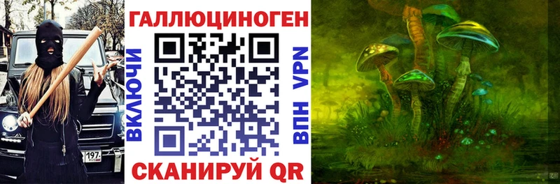 даркнет сайт  Борзя  Галлюциногенные грибы мицелий 